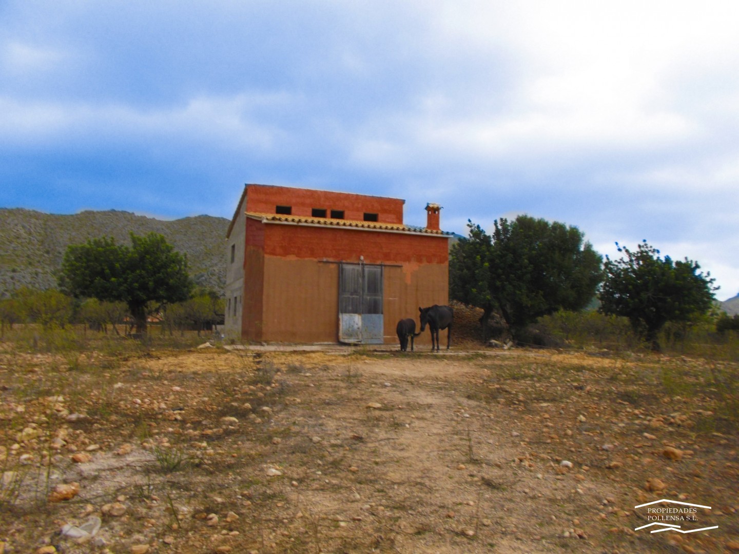 RUSTIC PROPERTY WITH 300 M2 BUILDING IN PUERTO POLLENSA.