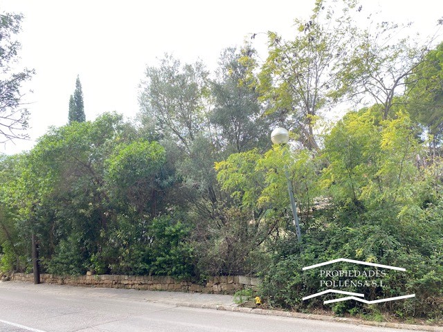 BONAIRE, ALCUDIA. Baugrundstuück ausgezeichnete Lage.