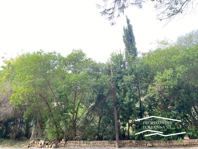 BONAIRE, ALCUDIA. Baugrundstuück ausgezeichnete Lage.