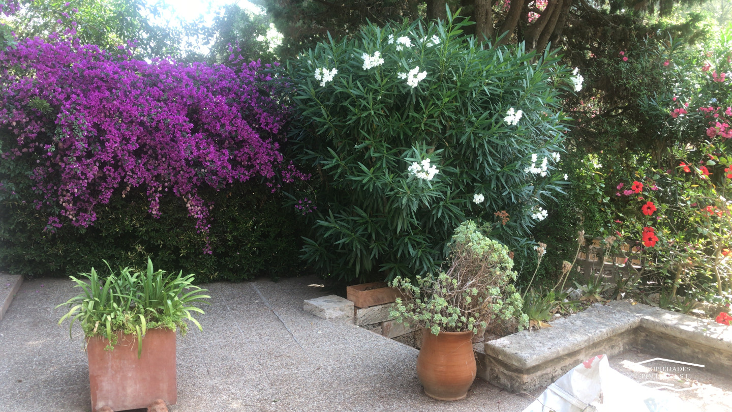 ALCUDIA, MAL PAS.-  CHARMING CHALET.