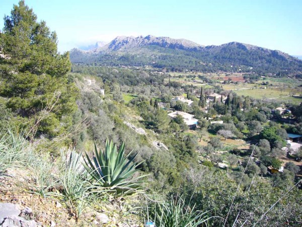 EXCLUSIVO!    SOLAR URBANIZABLE EN HUERTA DE LA FONT, POLLENSA A LA ESPERA DEL PERMISO DE CONSTRUCCION