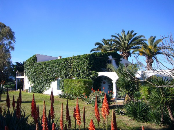 LUJOSA MANSION CERCA DE POLLENSA, DE 21.000M2           