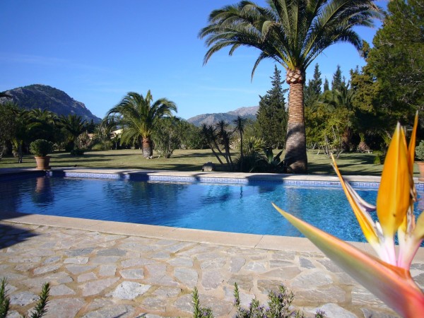 LUJOSA MANSION CERCA DE POLLENSA, DE 21.000M2           