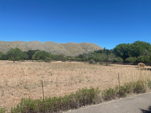 BAUBARES GRUNDSTÜCK, PUERTO DE POLLENSA.