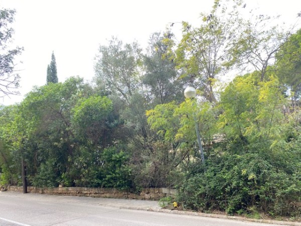PLOT IN BONAIRE, ALCUDIA. EXCELLENT LOCATION.