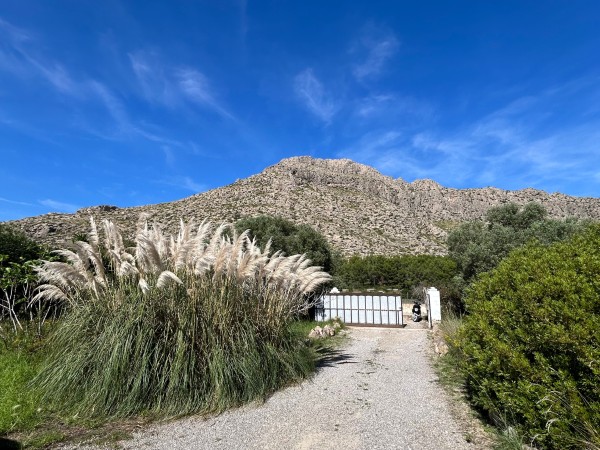 MEDITERRANEAN VILLA WITH TWO HOUSES NEAR BOQUER, POLLENSA.